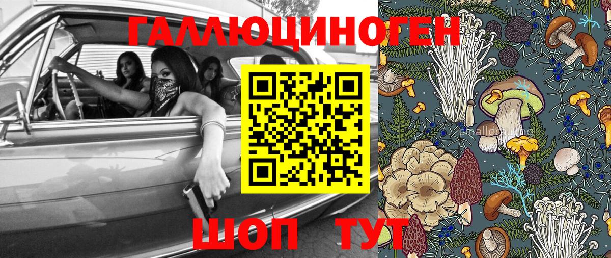 Кисловодск  Псилоцибиновые грибы мицелий  где купить наркоту  Псилоцибиновые грибы Psilocybine cubensis  Вход с VPN 